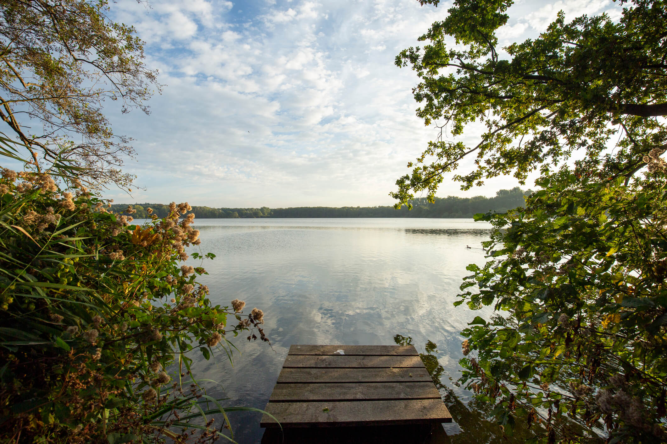 Steg am See in Nettetal