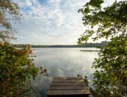 Lakes & nature — our favourite spots around Zum Schänzchen