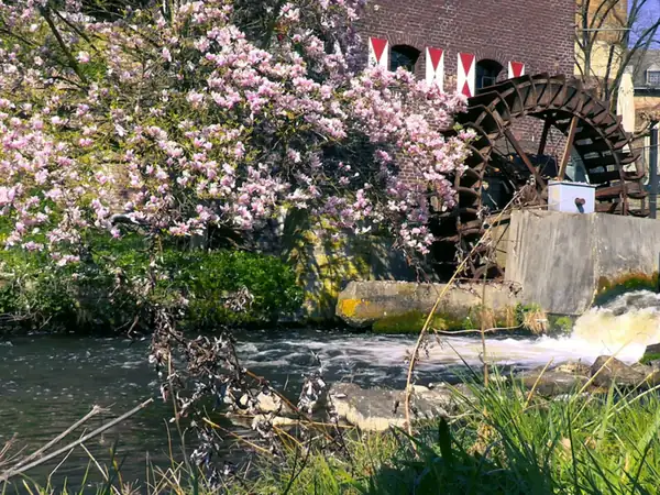 Ausflugsziele und Natur rund um Nettetal am Niederrhein